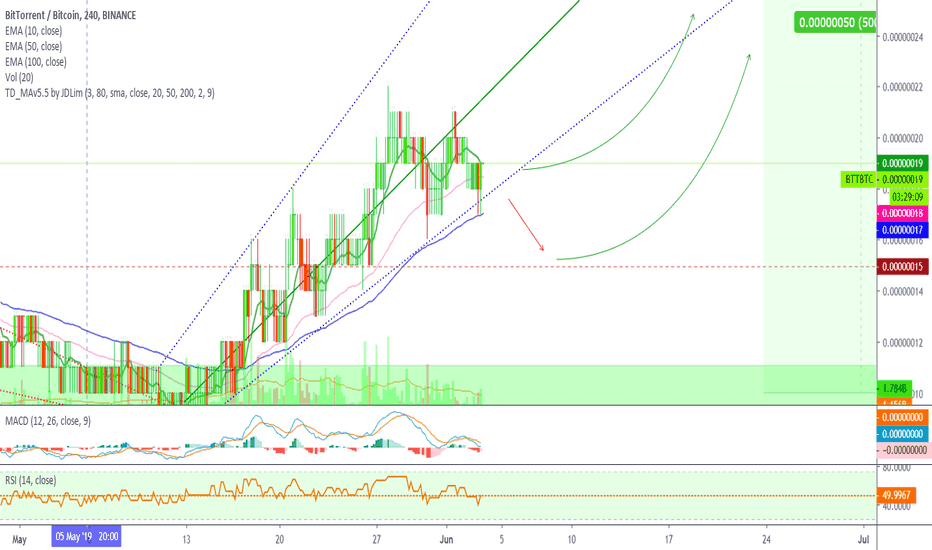 BitTorrent Remains Strong After 120% Profits: Analysis & Update
