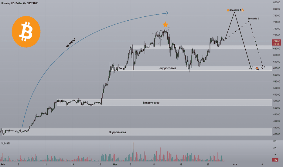 Strifor || BTCUSD-Long-term view