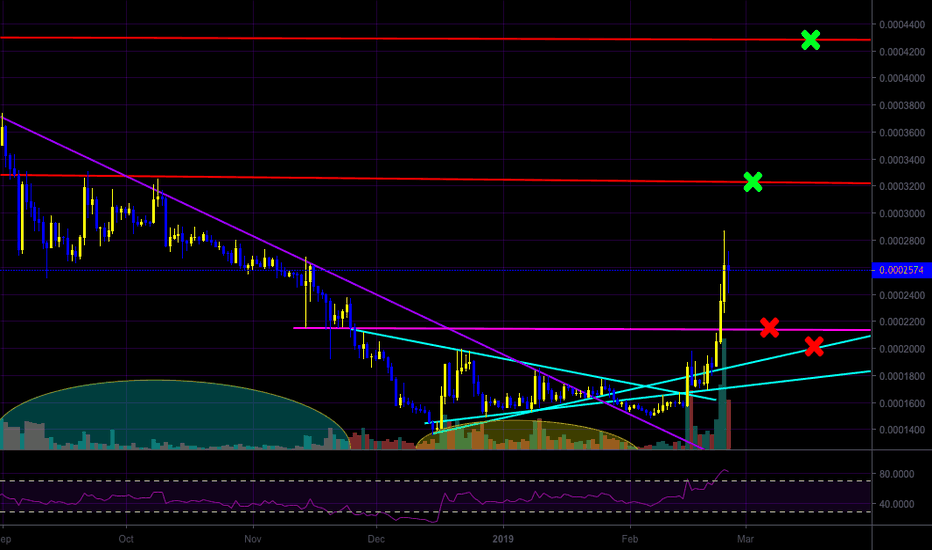 ONT (Ontology) Rallies Nearly 75% Since My Setup