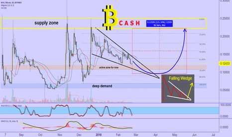 BITCOIN CASH : let's do it !!!