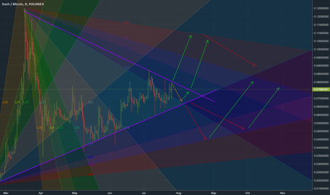 DASH SHORT SCENARIO