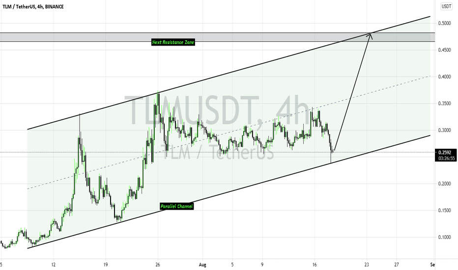 TLM > Parallel Channel & Trendline Support >time for a Bull-Run?