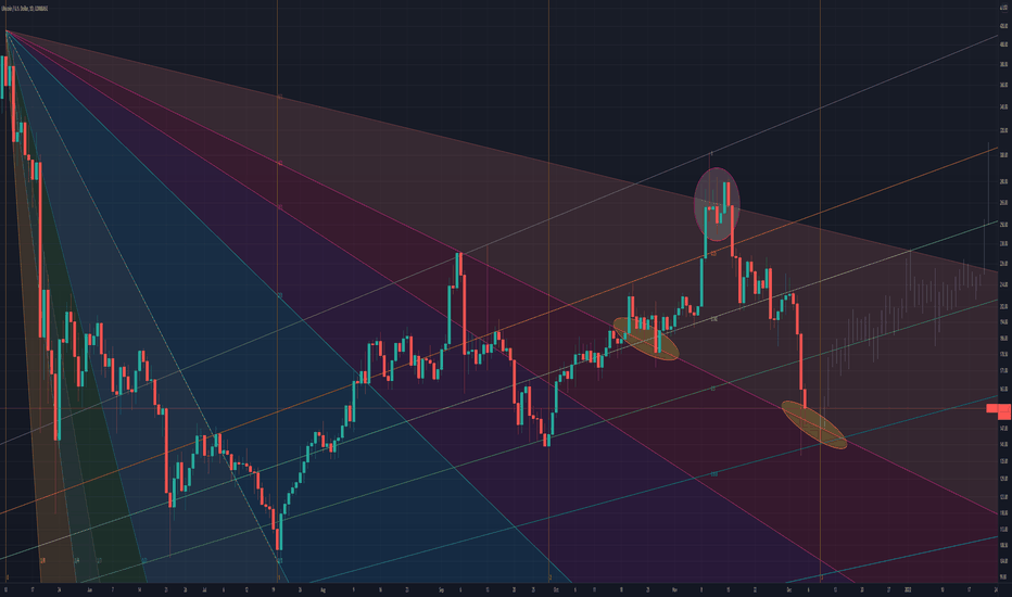 Litecoin Rally still starts December 9th....