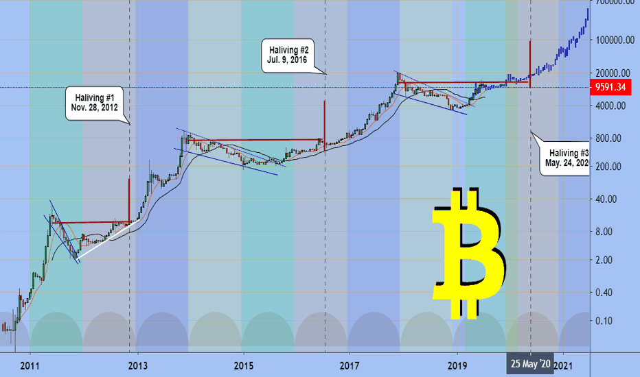 BTCUSD Halving #3