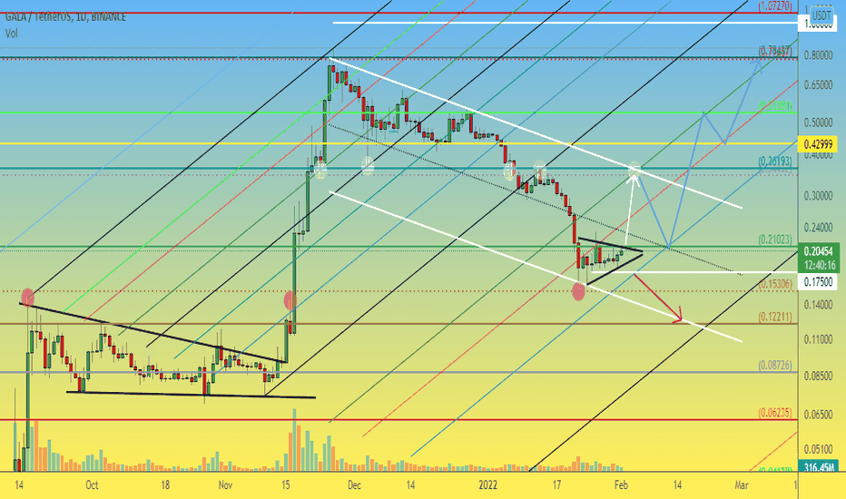 Gala 1D Is there any chance for growth or all is lost?
