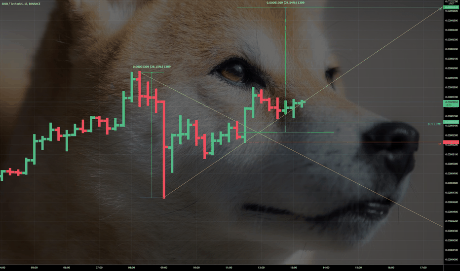 SHIB the Beast to 6666?