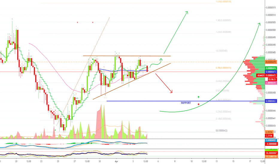 Cardano (ADAM20) Remains Bullish, Chart Fully Mapped