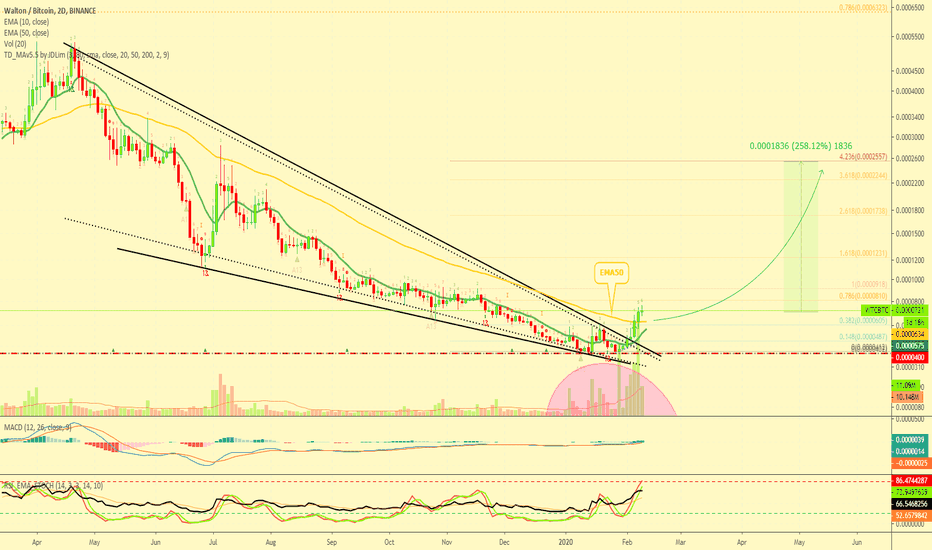 Walton 2020 Takes Off With High Volume | 255%+ Target Mapped