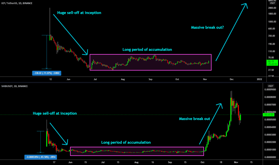 🔥 ICP Copying SHIBA? Massive Break Out Potential