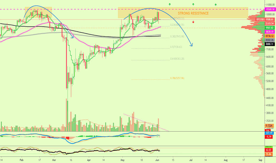 Is Bitcoin RED? What Will Happen Next? Altcoins Update!