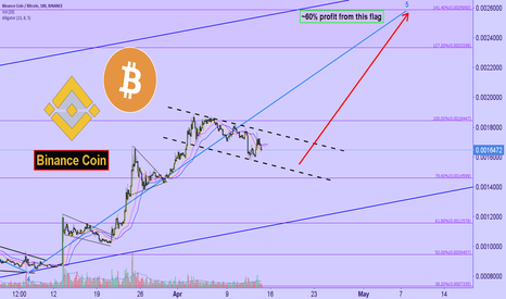 Binance Coin : flag versus BTC