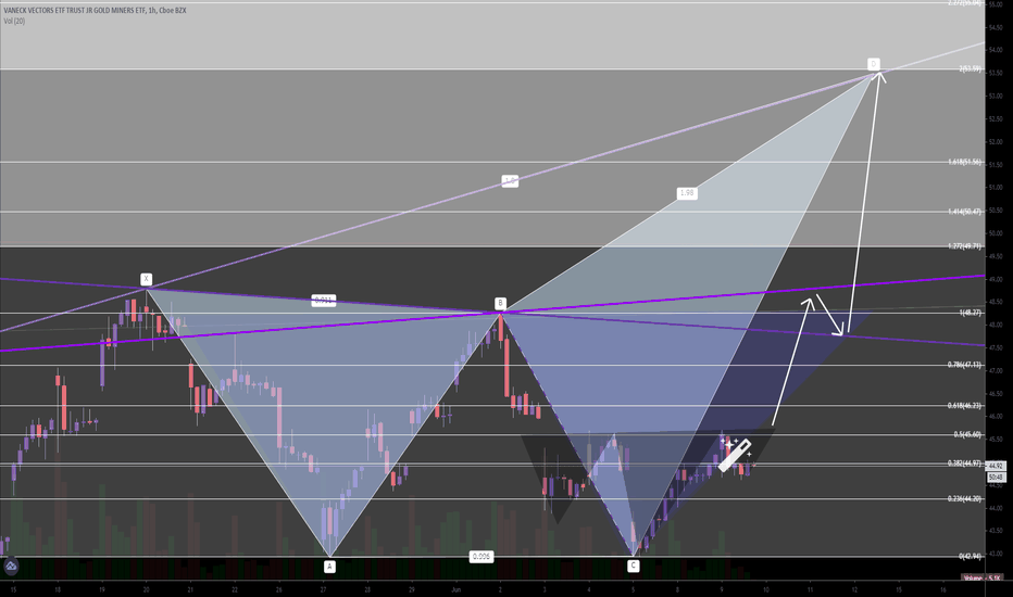 WHOA! JUNIOR GOLD MINERS GDXJ JNUG - JUNE 2020 PRICE PREDICTION