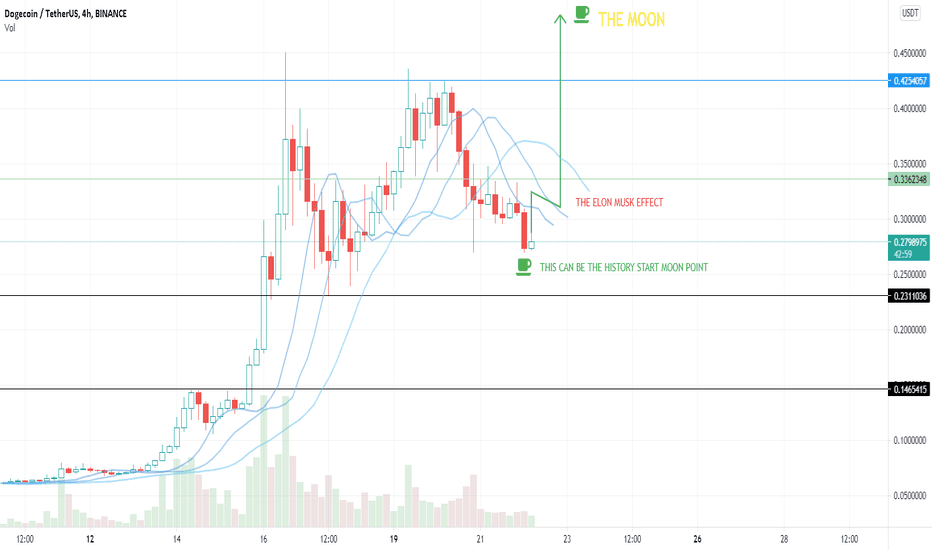 NEXT 24H CAN BE THE DOGE BREAKOUT DAY - WE HAVE SAY IT AT TIME