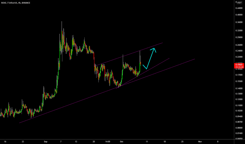 🔥 ROSE Volatility: Bullish Times Ahead?