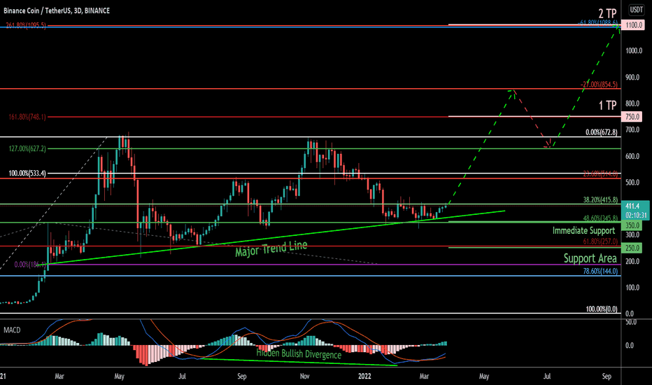 BNB (Binance Coin) Coin Analysis 26/03/2022