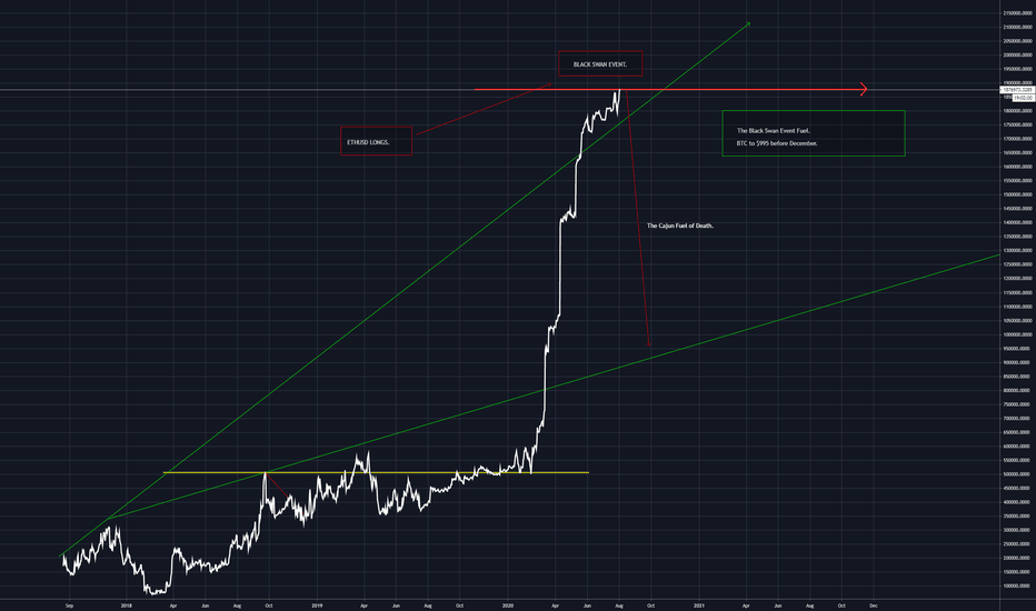 ETHUSD Longs. P-Modeling Pt 1. The Black Swan Fuel of Cajun