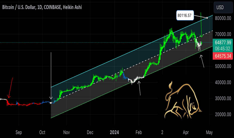 WHITE PLOT STRATEGY ACCOMPANIED BY A BULL CANDLESTICK $80k