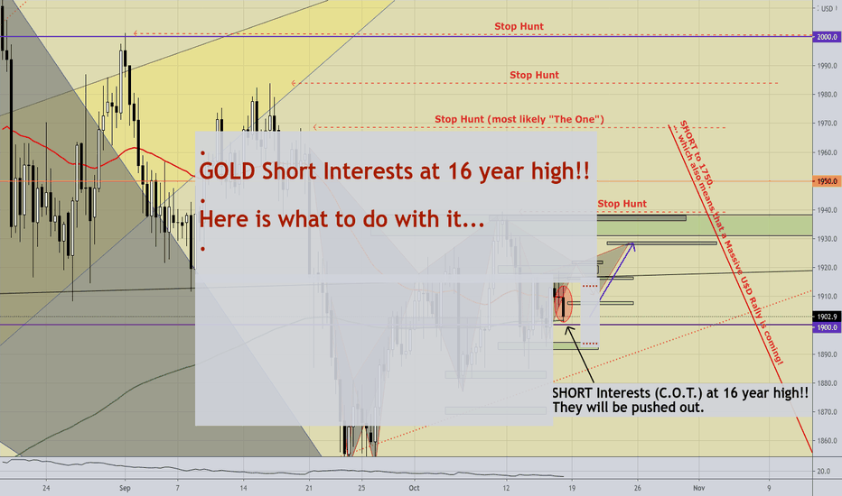 GOLD - 8hr.; Short Interests @16 year high!! Here is what to do.