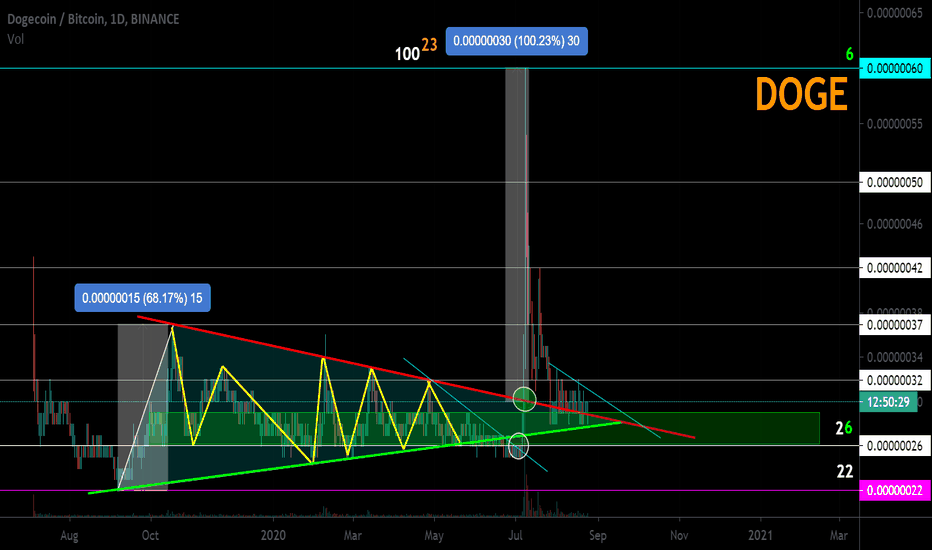 DOGE local work. Past Idea Safe Entry + 100% +118%