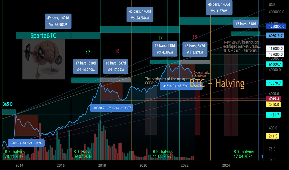BTC/USD Secondary trend cycles and halvings.