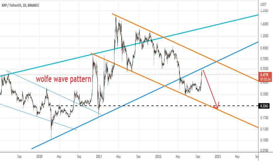xrp update