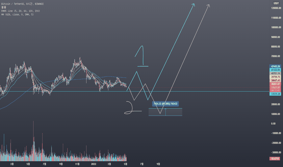 22.05.04 BTC 장기관점에 대해