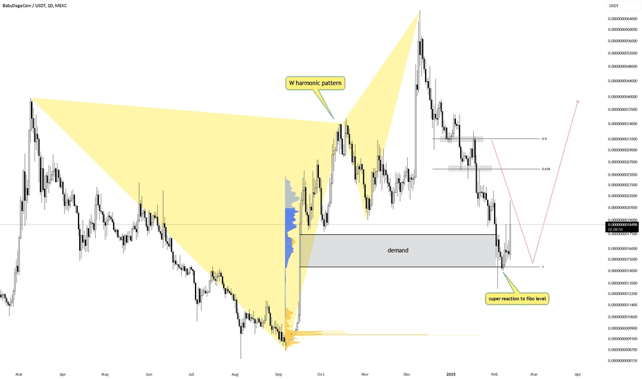 BABYDOGE IS GOING TO EXPLODE !