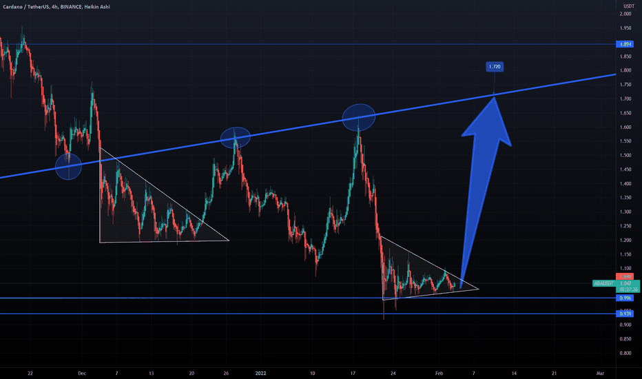CARDANO - Needs To Go Higher