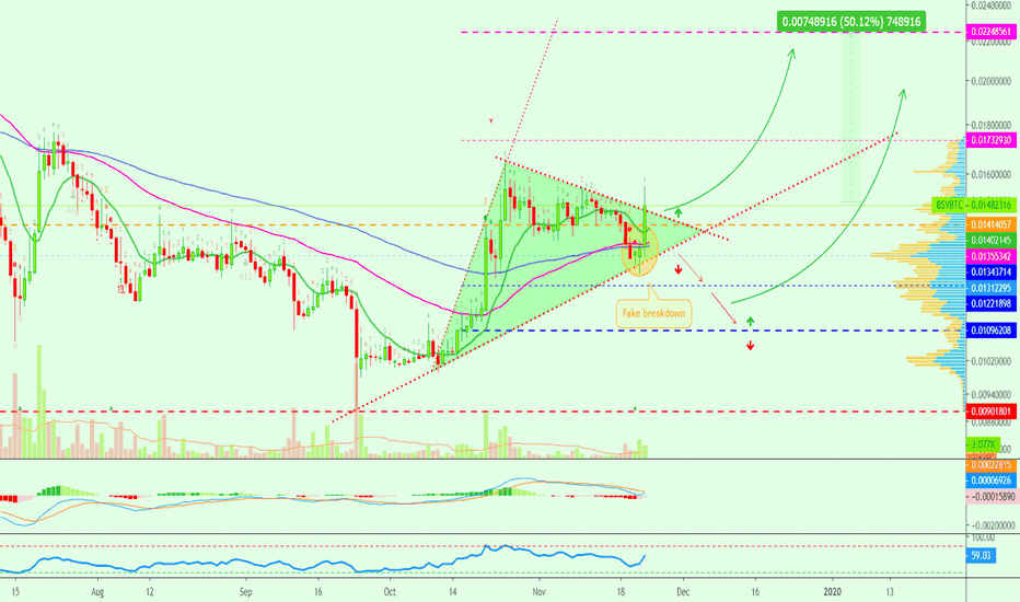 Bitcoin SV Ready Grow? Strong Signal Can Lead To 50%+