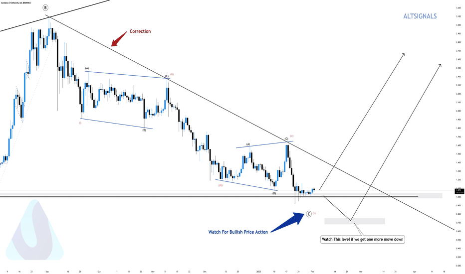 CARDANO - Where Are The Bulls?