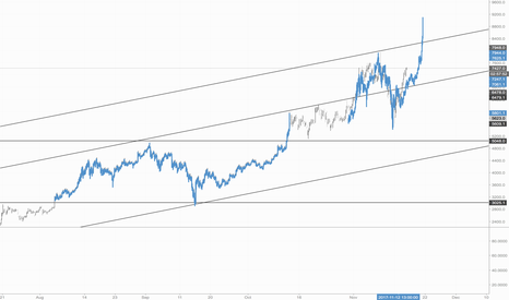 Bitcoin: History Repeating Itself, but much faster cycles?