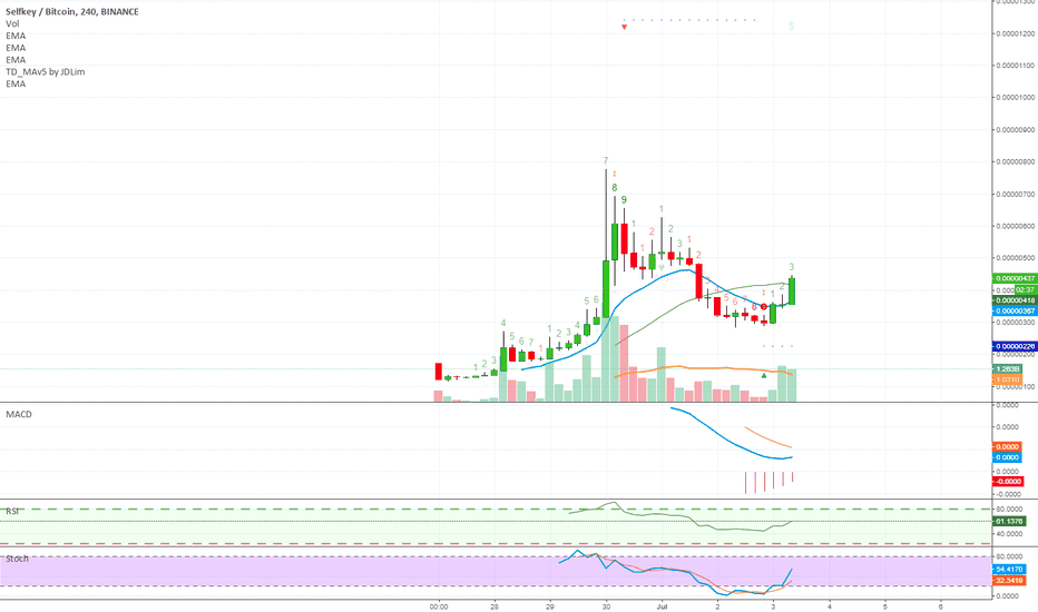 Selfkey (KEY) Resistance Levels/Targets courtesy of Alan Masters