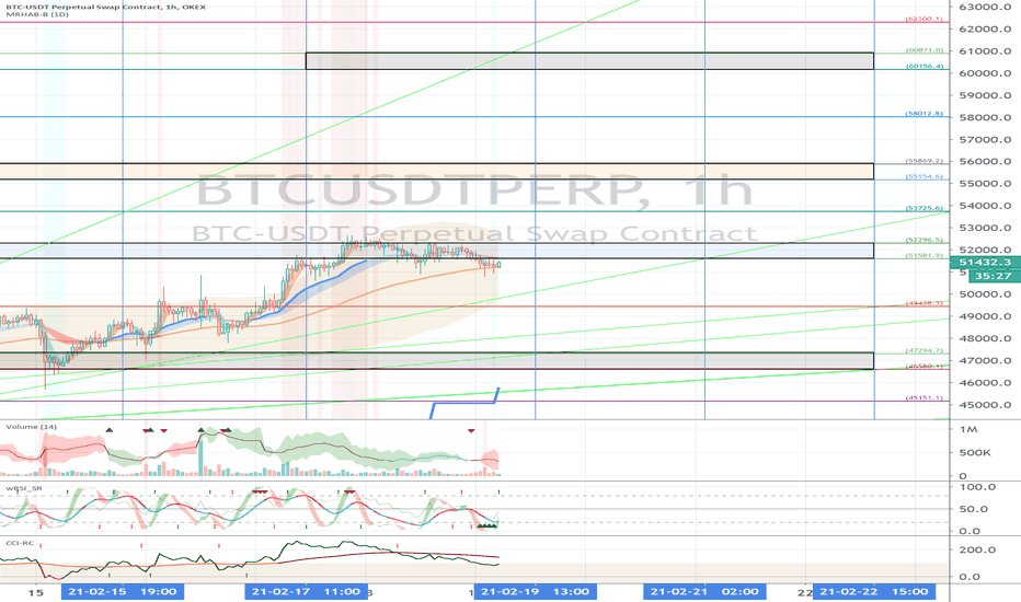 OKEX BTCUSDTPERP (Short Term Strategy) - February 19