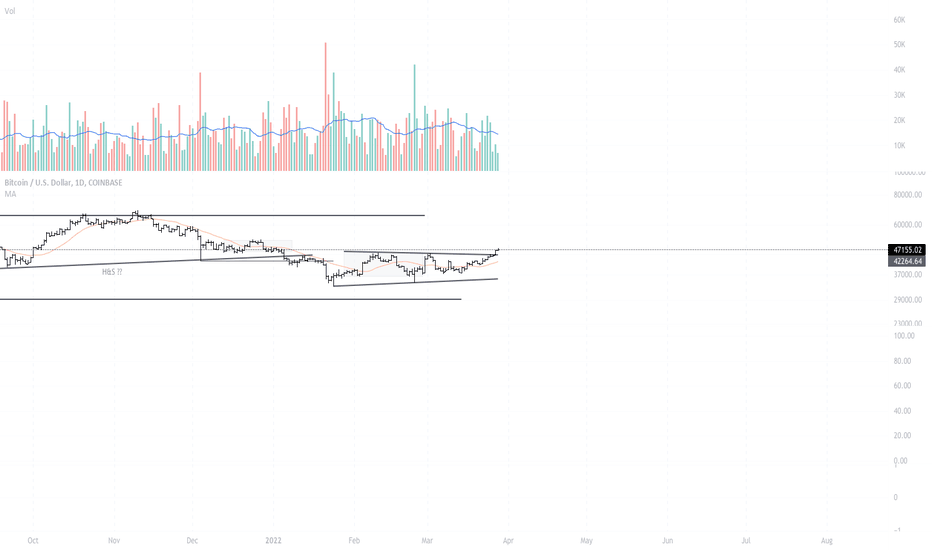 BTC: to many laser eyes??