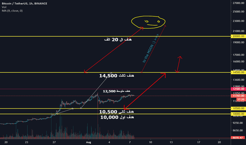 Bitcoin to 20k