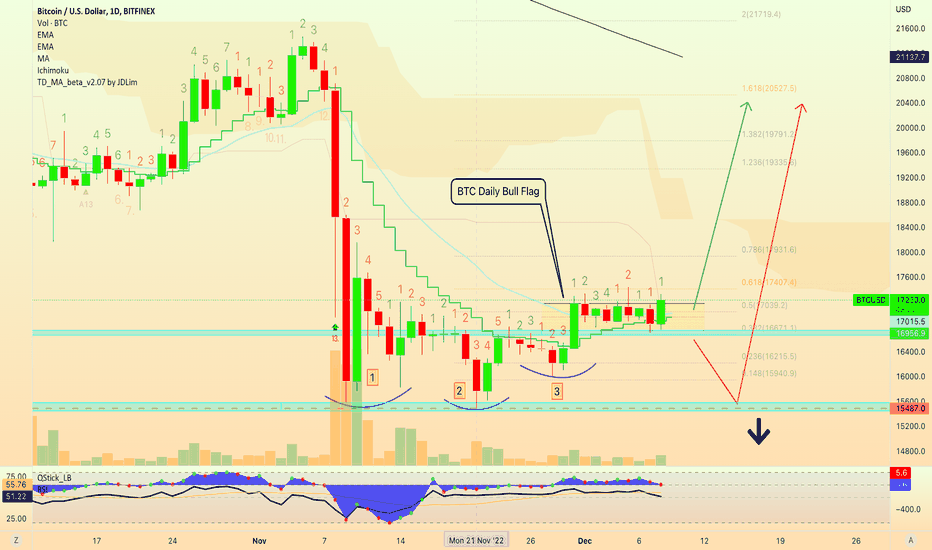 Bitcoin Daily Bull Flag | $21,000+ Possible Now Within Days!