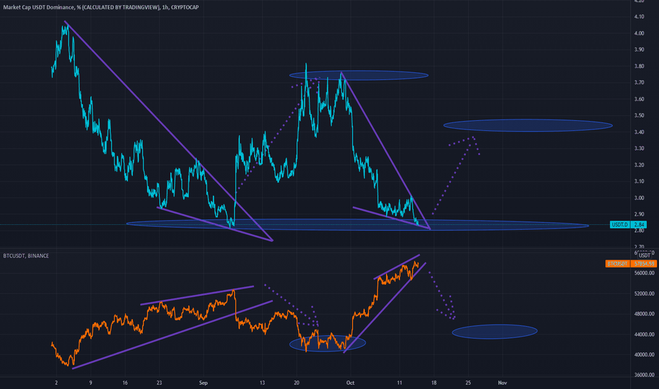 USDT.D - BTC/USDT Correlation: Machine's Wisdom or Coding Error?