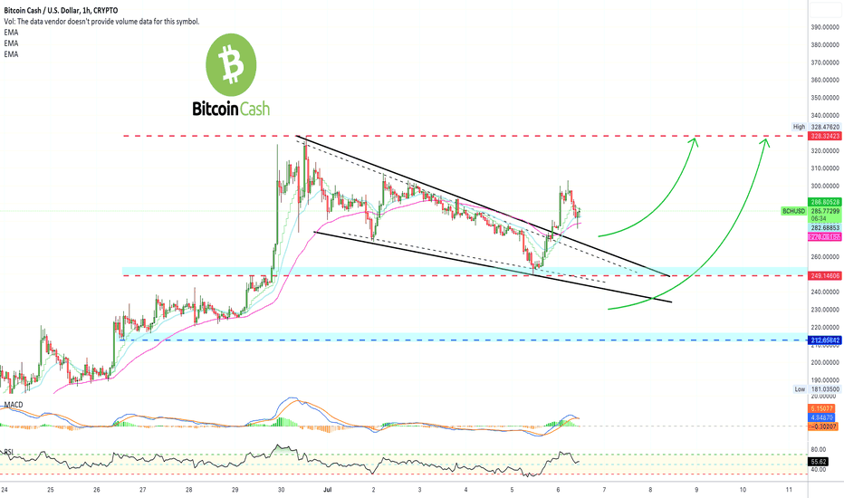 ✴️ Bitcoin Cash Resumes Growing, This Means...
