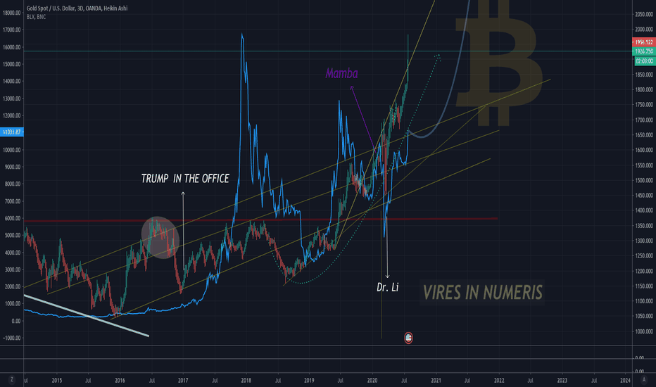 WHO MADE GOLD GREAT AGAIN ?