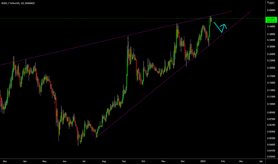 🔥 ROSE Potential Reversal Soon: Macro Trend