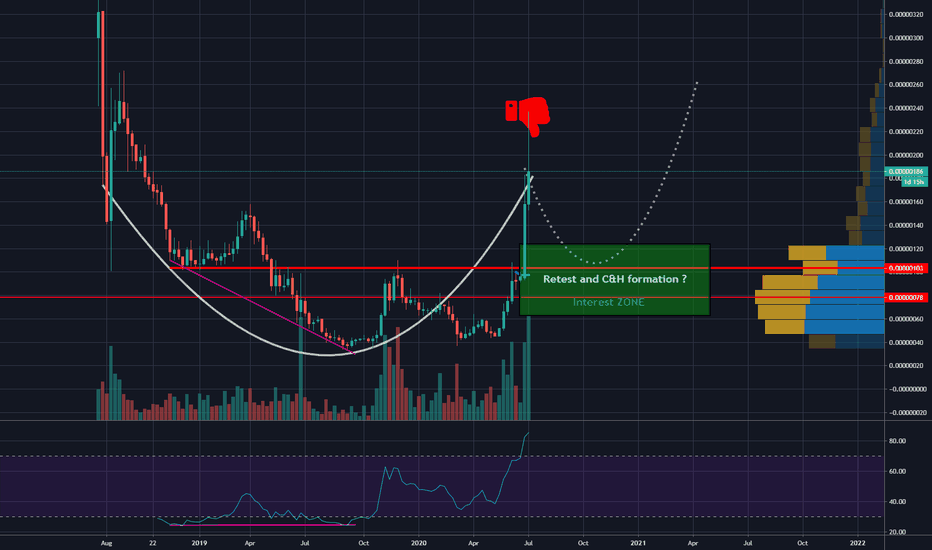 VET mid/long term speculation