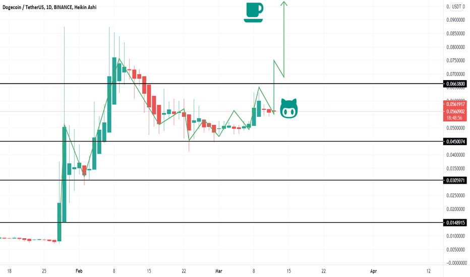 DOGE FROM 0,055 to 0,10 The Golden order with ELON MUSK EFFET!!