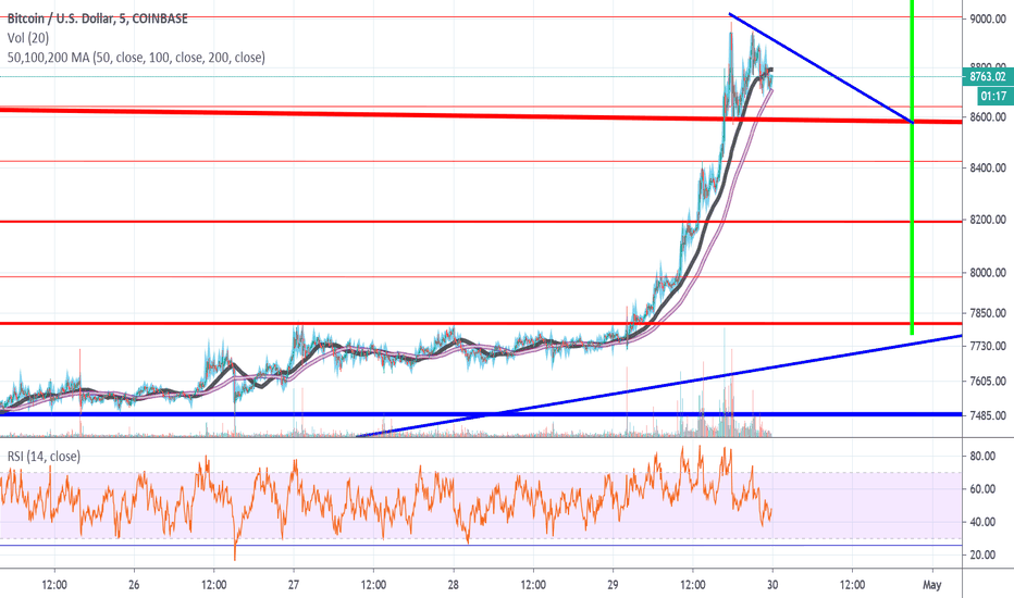 Bull Flag or Descending Triangle.