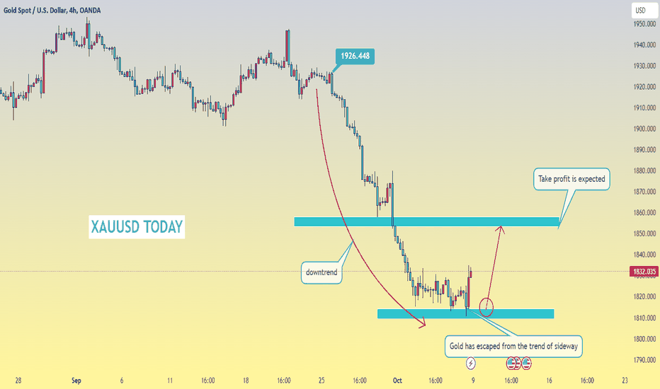 Gold for the price increase, the most new analysis