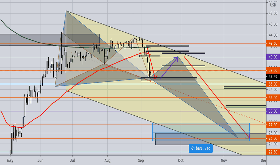 WTI Crude Oil Massive SHORT within sight of $40! Dec. PUTs