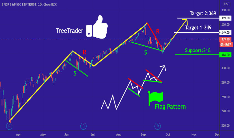 SPY  Flag Analysis