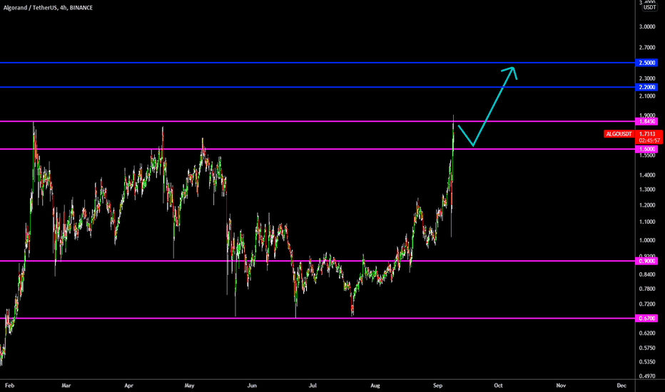 ðĨ ALGO New All Time High: New Market Leader?