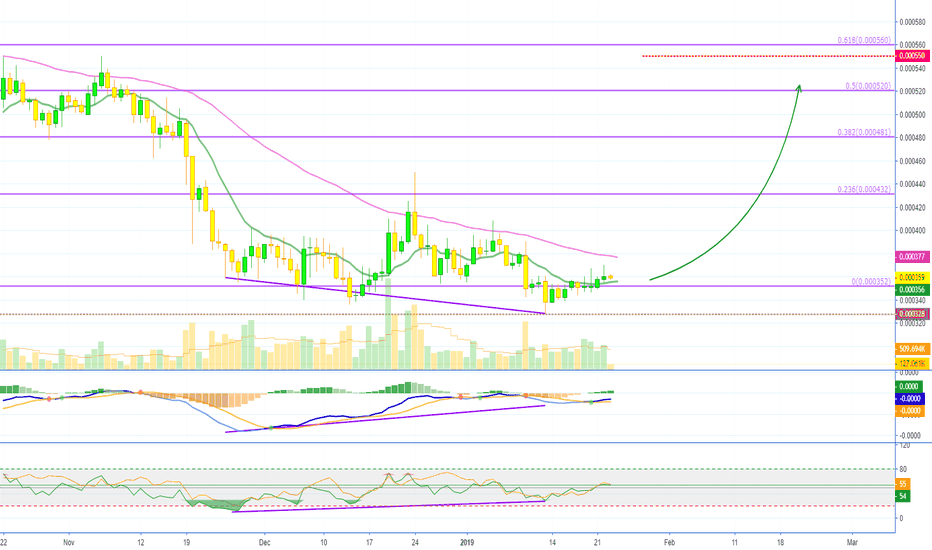 OmiseGo Prints Bullish Divergence [OMGBTC](52% PP)