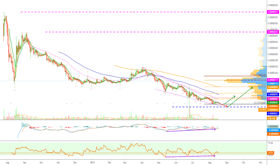 VeChain Path (Analyzing The Next Move)