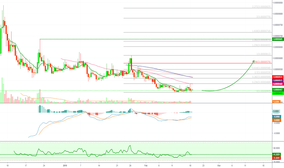 Ren (RENBTC) A Hidden Gem?